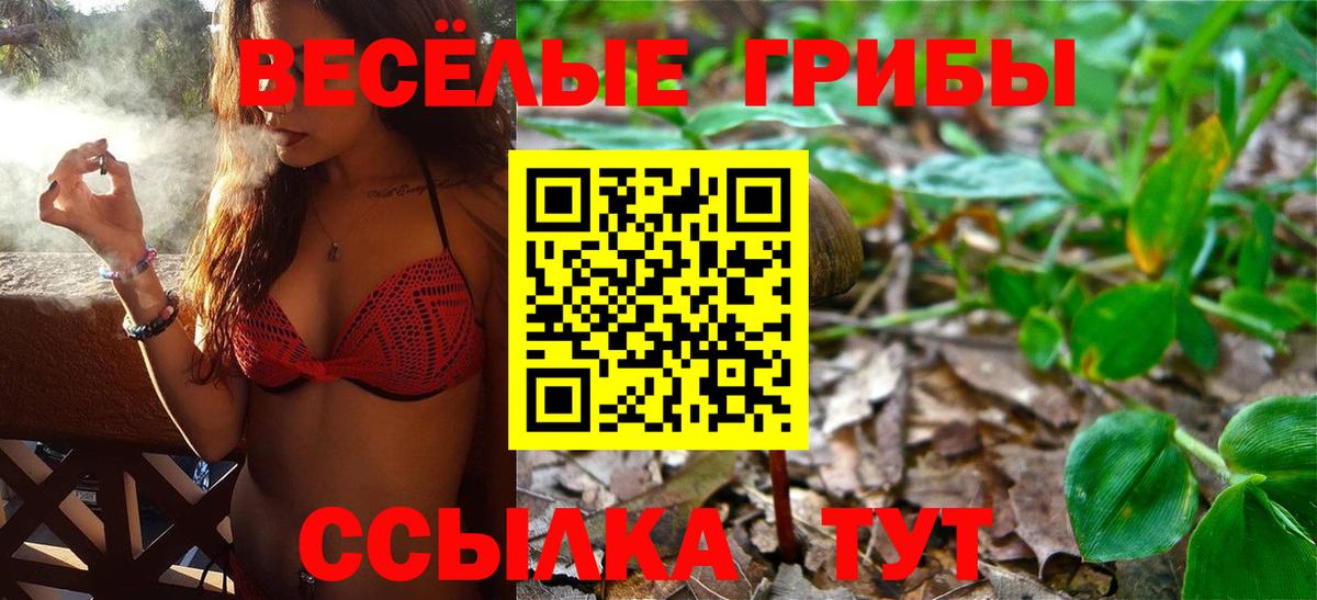 Верхняя Пышма  Псилоцибиновые грибы ЛСД  Вход с VPN 