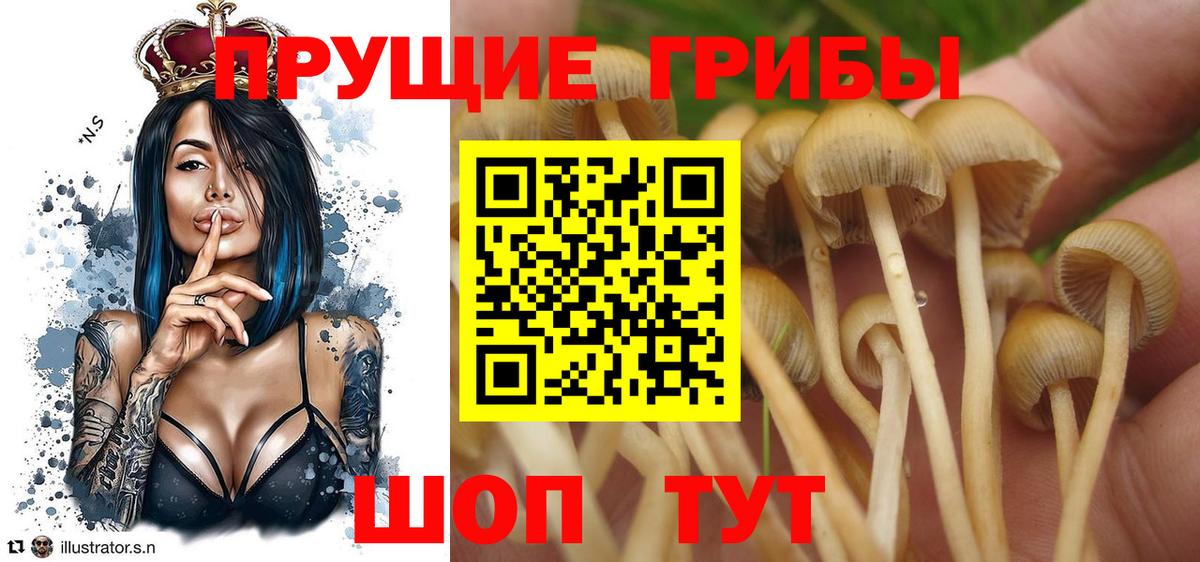 Галлюциногенные грибы ЛСД Верхняя Пышма